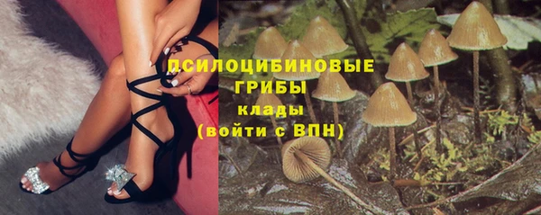 индика Абдулино