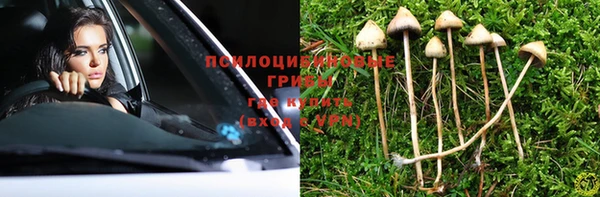 индика Абдулино