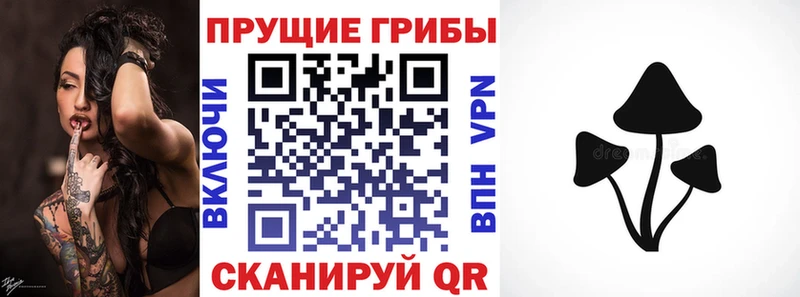 Псилоцибиновые грибы Magic Shrooms  Оса 
